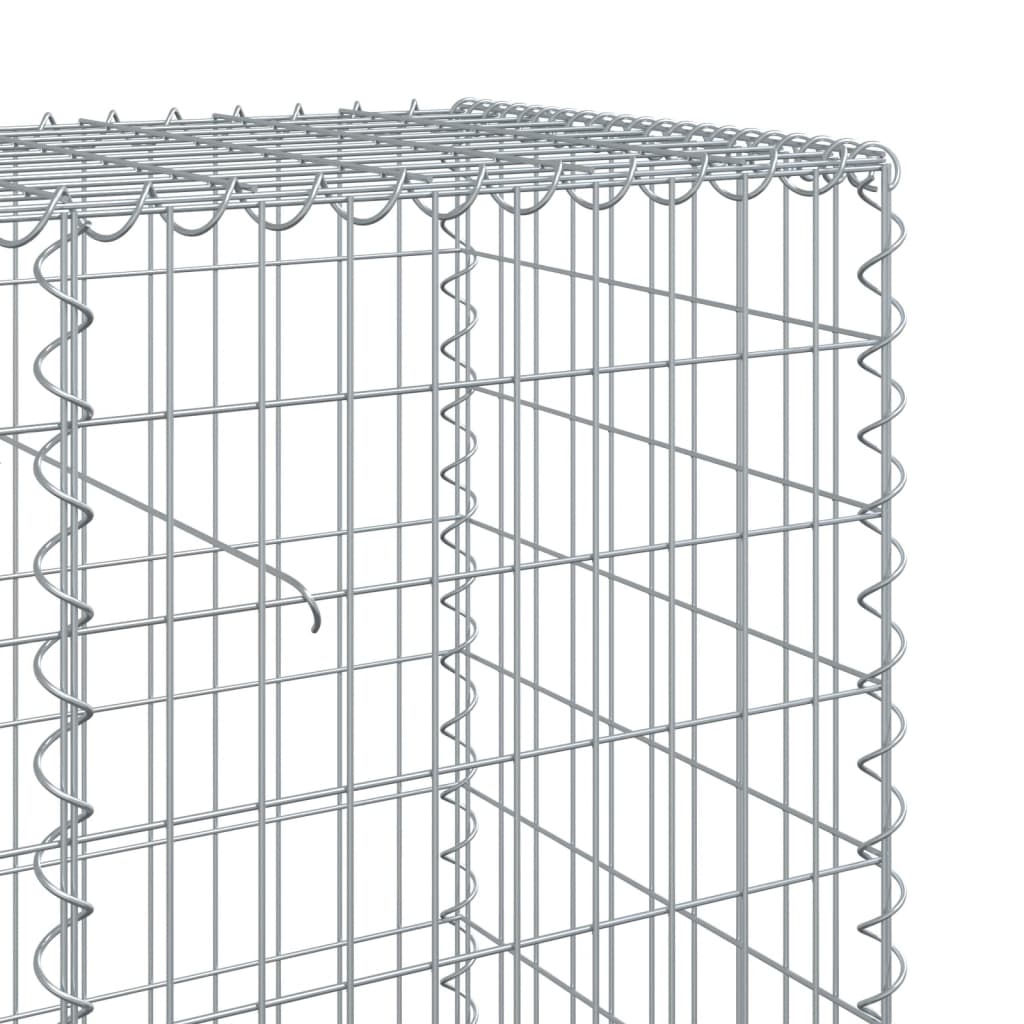 Gabionkorg med skydd 300x50x100 cm galvaniserat järn