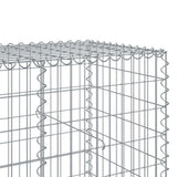 Gabionkorg med skydd 1200x100x100 cm galvaniserat järn