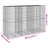 Gabionkorg med skydd 300x100x200 cm galvaniserat järn