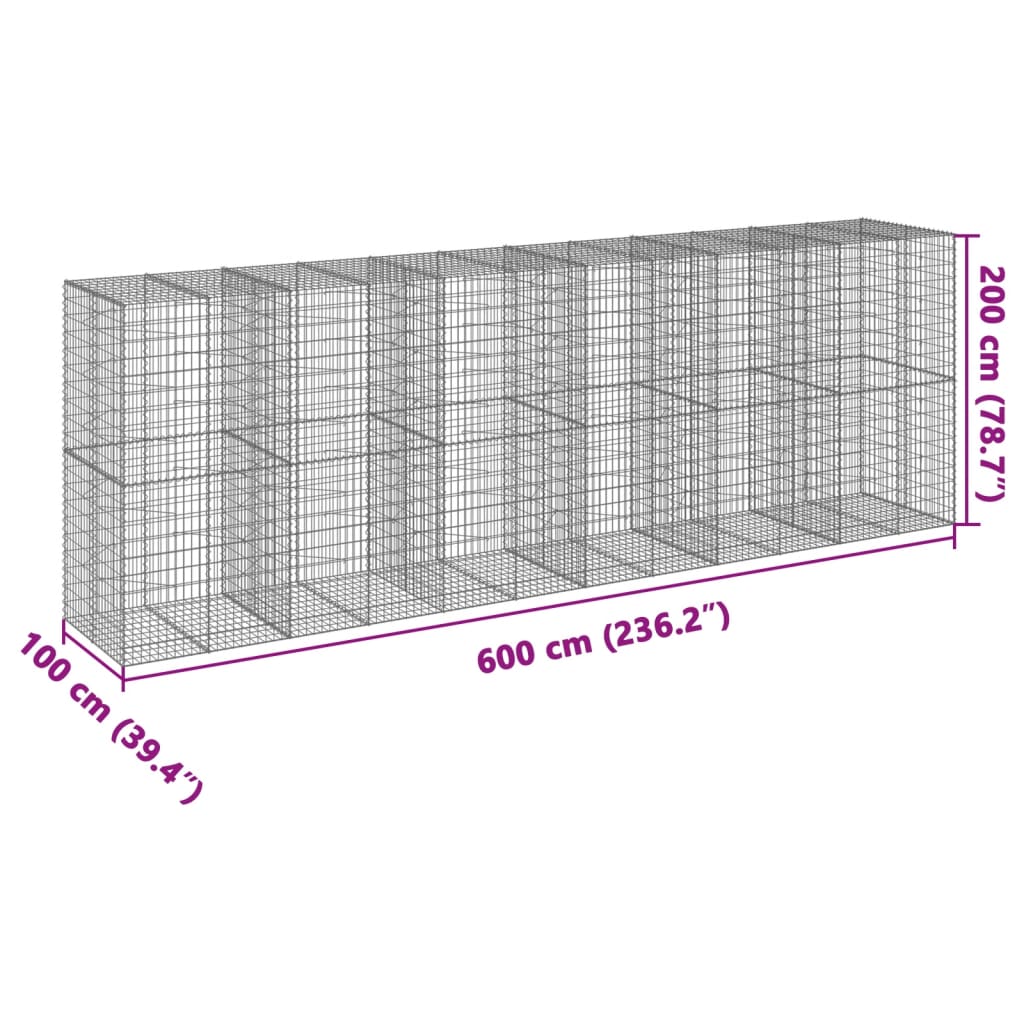 Gabionkorg med skydd 600x100x200 cm galvaniserat järn